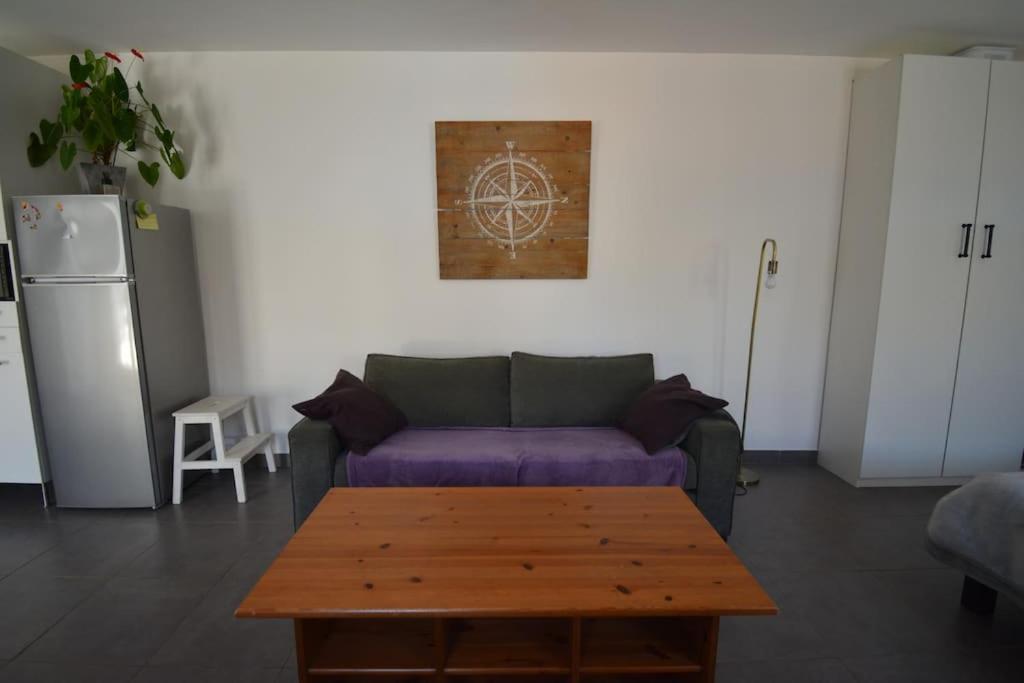 Grand Studio Independant Avec Jardin Goussainville  Bagian luar foto